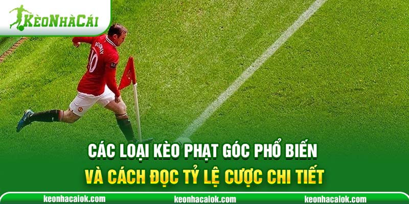 Các loại Kèo Phạt Góc phổ biến và cách đọc tỷ lệ cược chi tiết